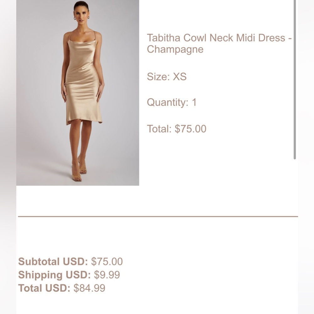 New with tags. Mesh kit dress
